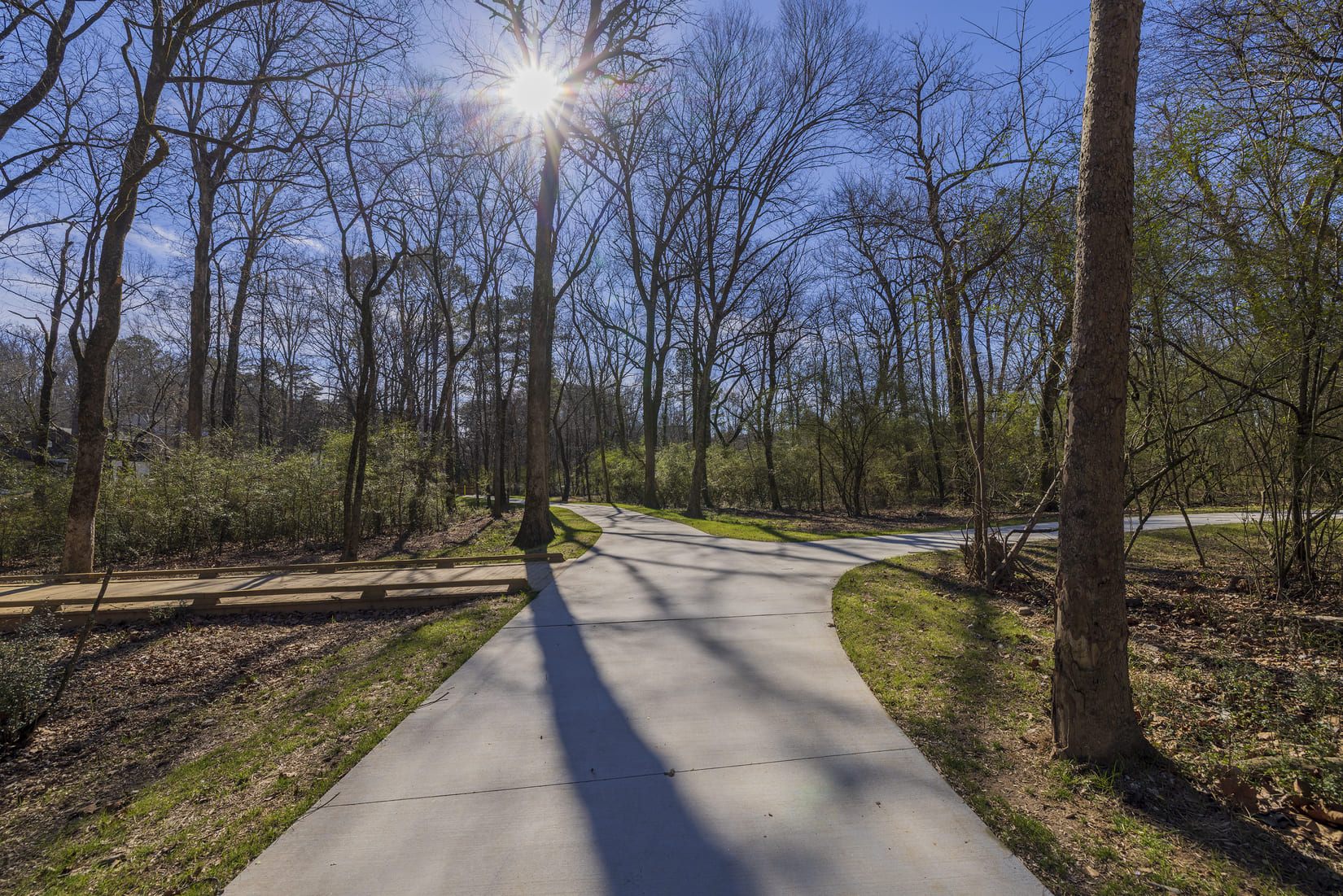 Murphy Candler Park project photograph 4