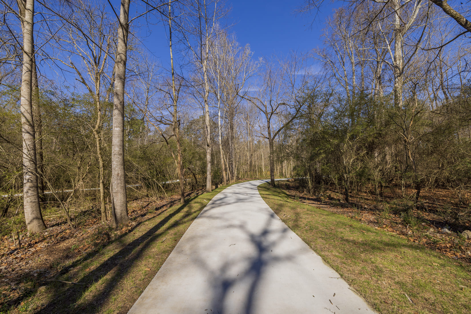 Murphy Candler Park project photograph 5