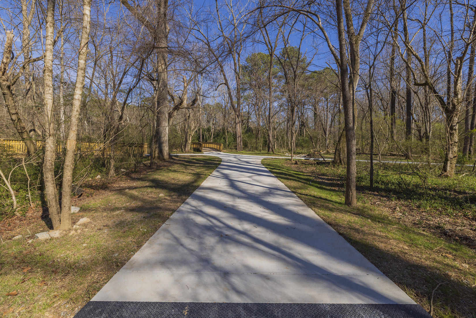 Murphy Candler Park project photograph 6