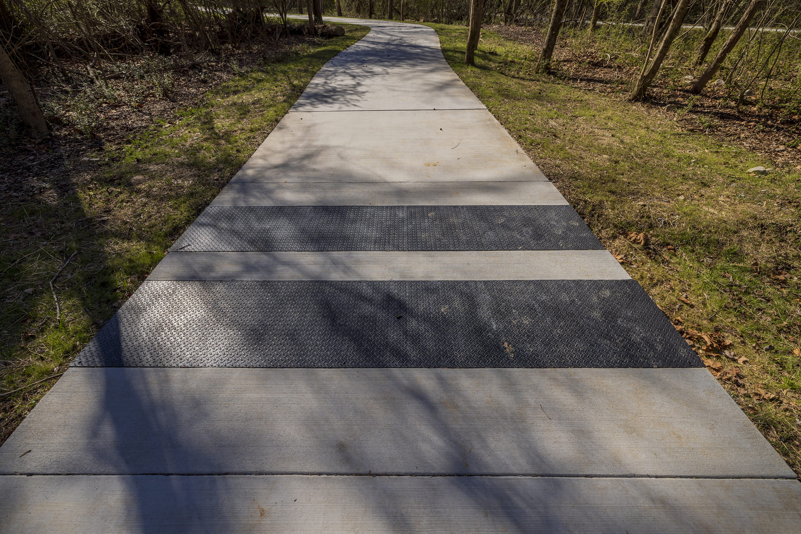 Murphy Candler Park project photograph 7