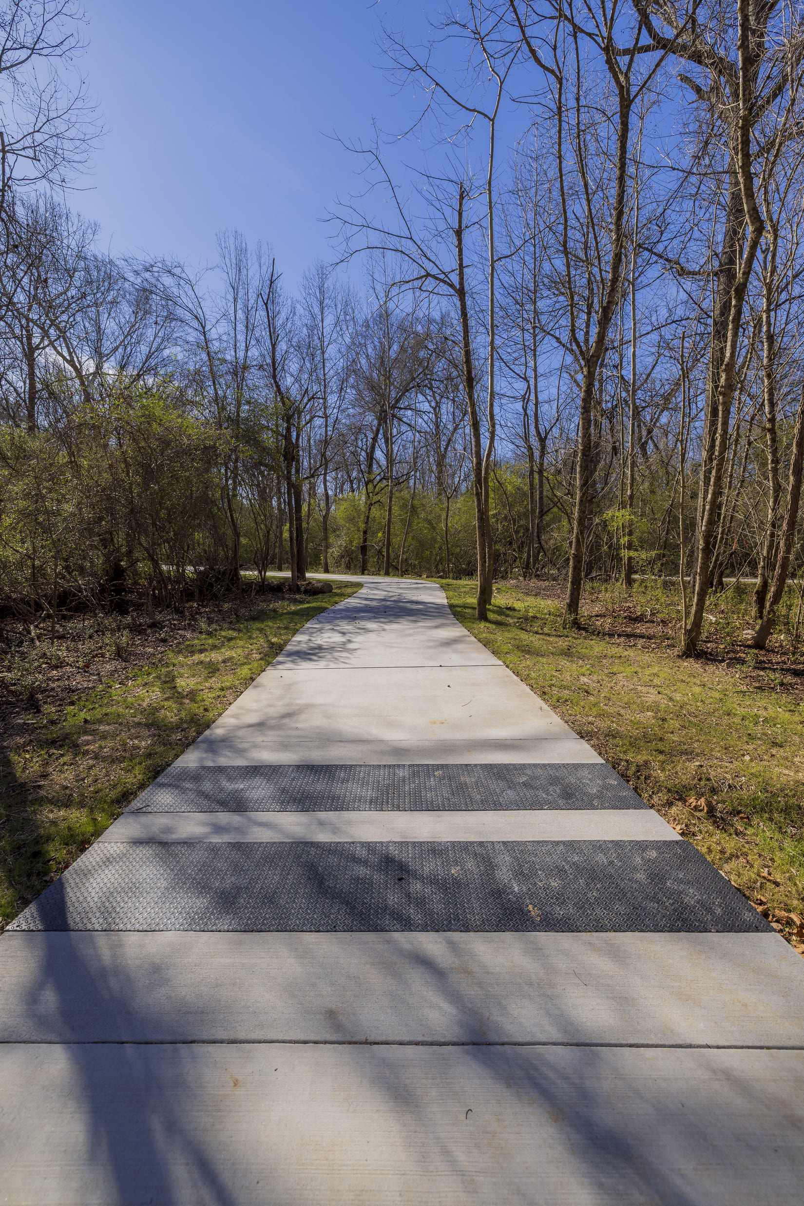 Murphy Candler Park project photograph 8