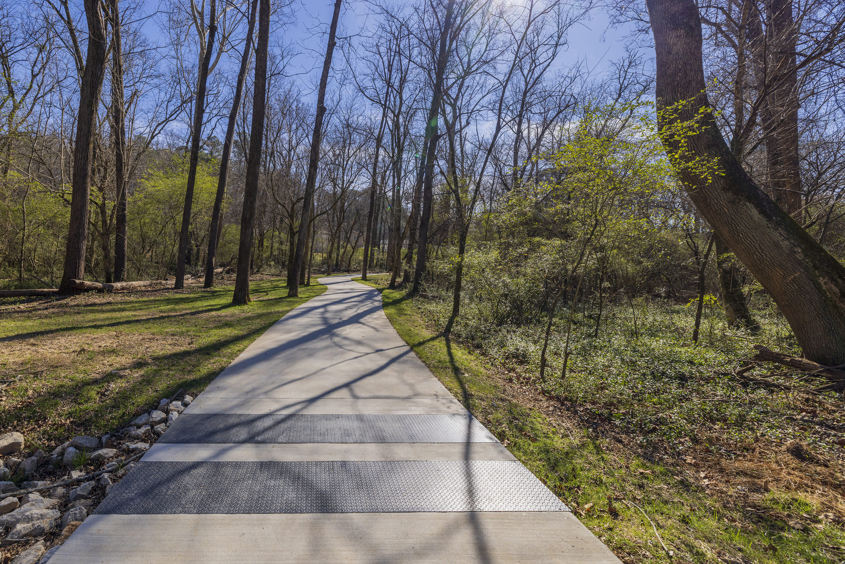 Murphy Candler Park project photograph 9